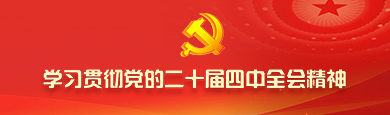 学习贯彻党的二十届四中全会精神