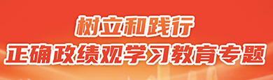 树立和践行正确政绩观学习教育专题