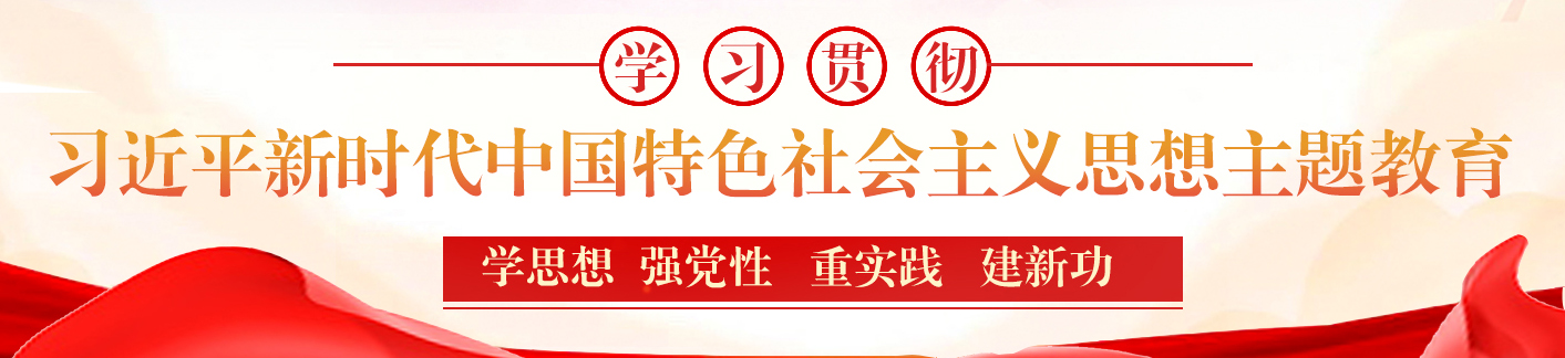 学习贯彻习近平新时代中国特色社会主义思想主题教育