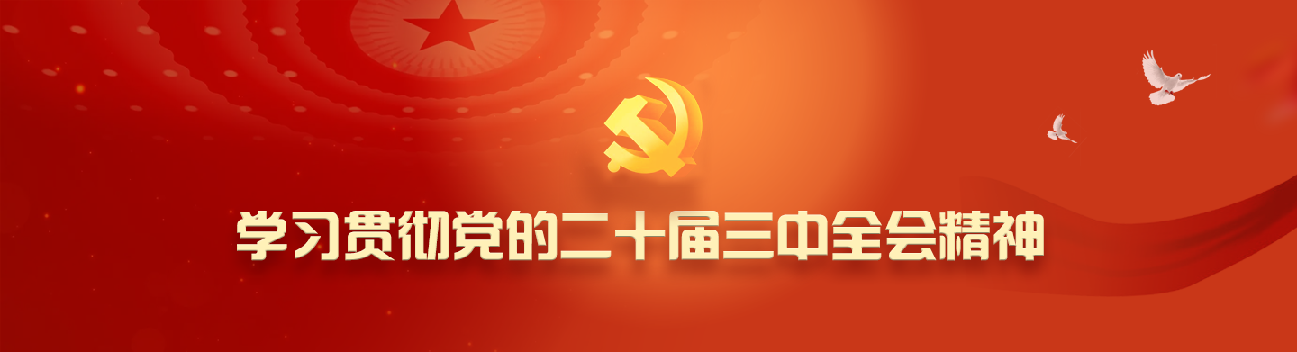 深入学习宣传贯彻党的二十大精神