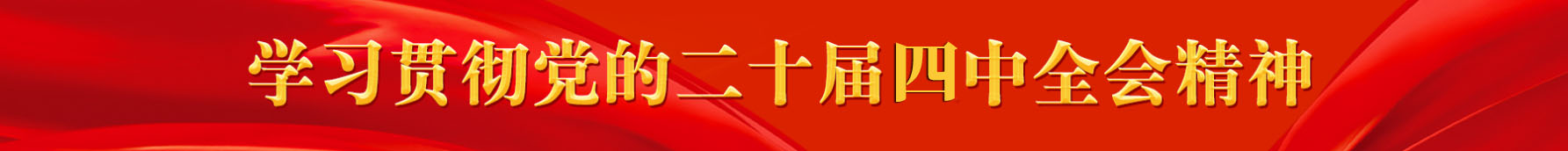 学习贯彻党的二十届四中全会精神