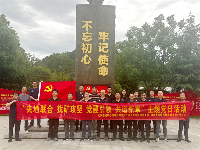 武汉地调中心与省地质院资源所联合开展党建联建活动