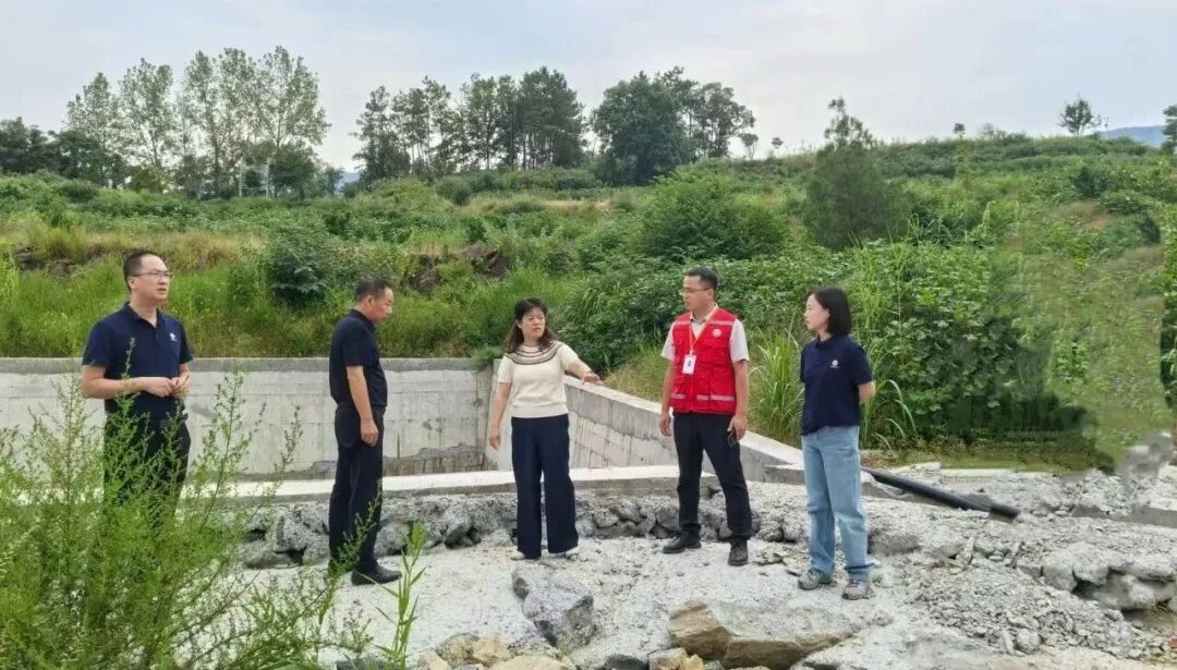 图片 图片